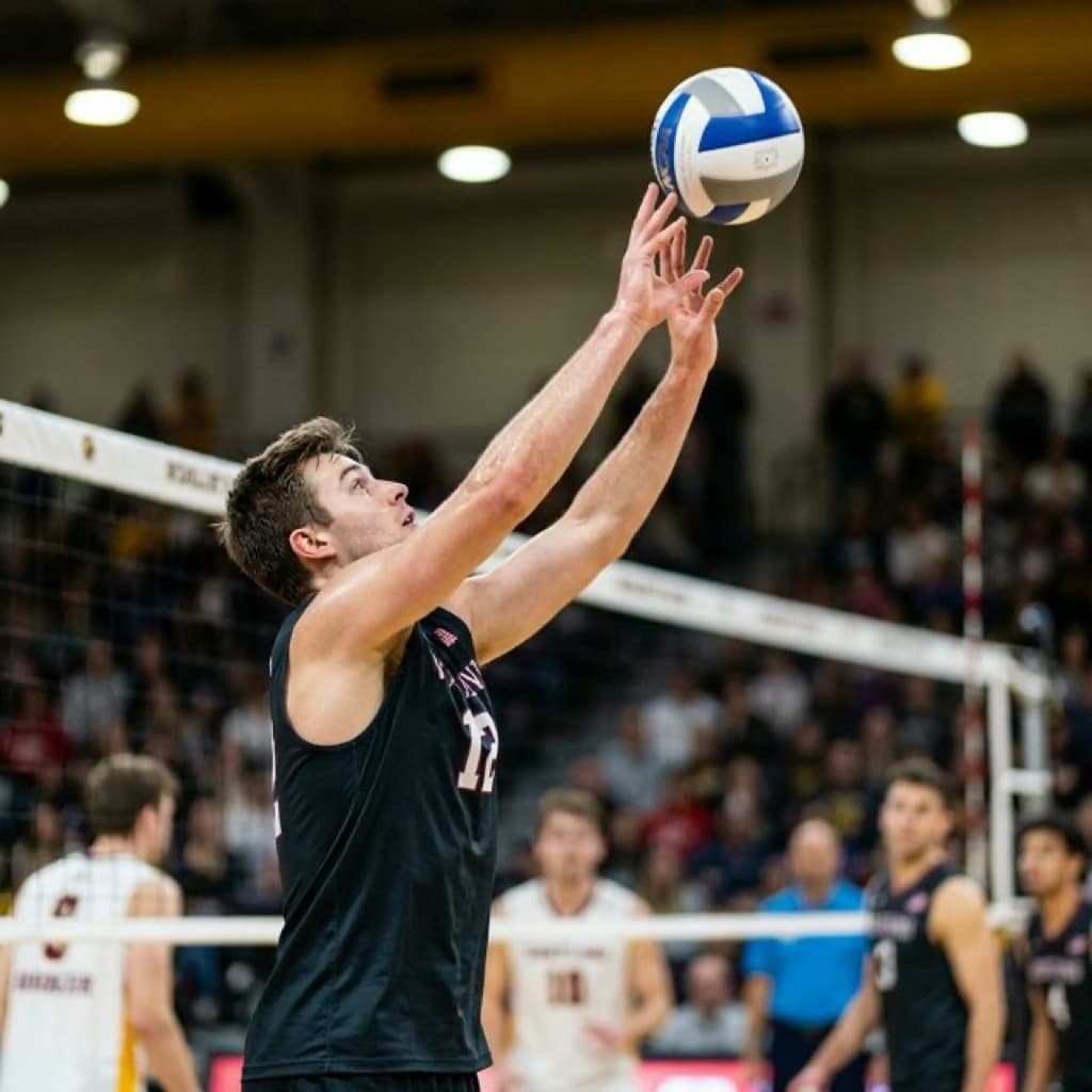 バレーボールセッター上達完全ガイド|トス精度を数値で改善する判断・足運び・配球設計